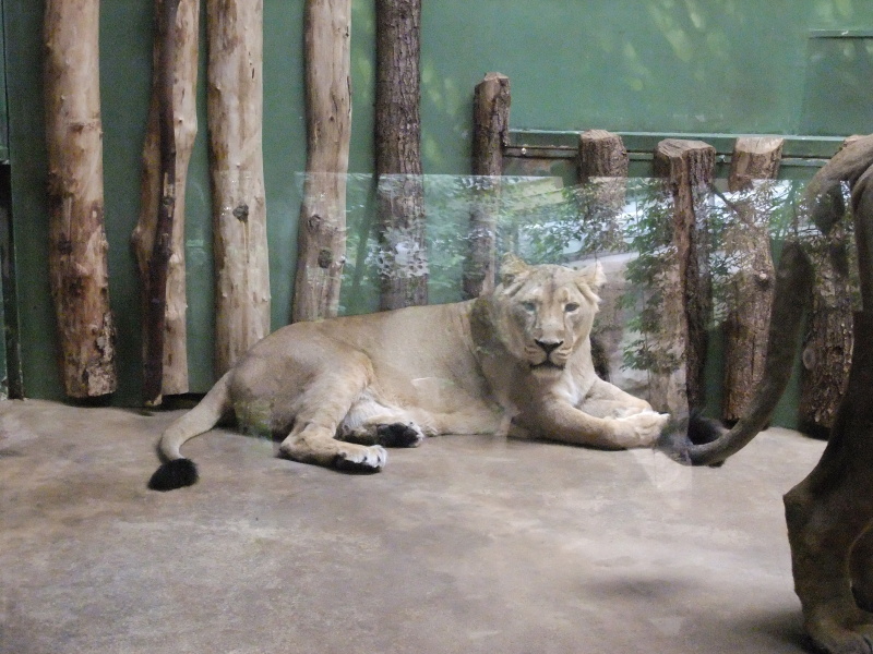 Zoo 3.A 2011 (86).jpg